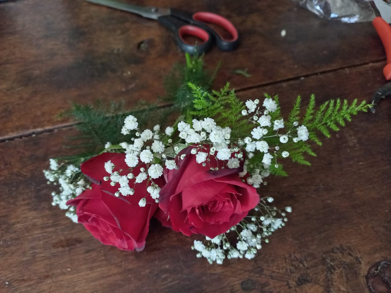 Rosas Vermelhas com Mosquitinho